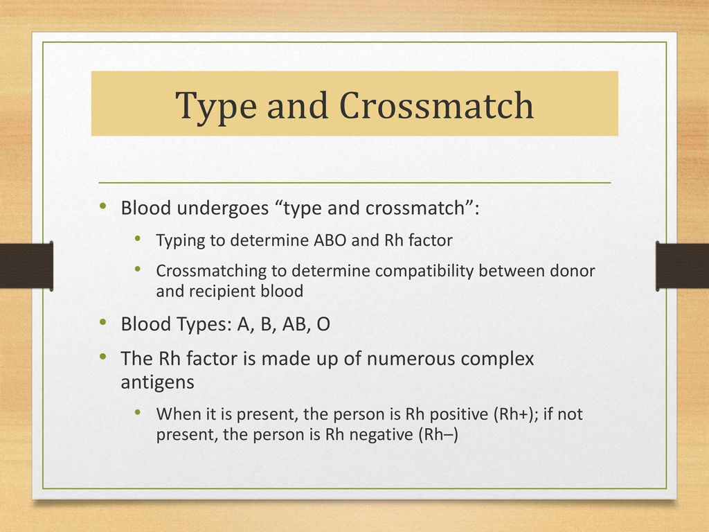 Type and Crossmatch Blood undergoes type and crossmatch :