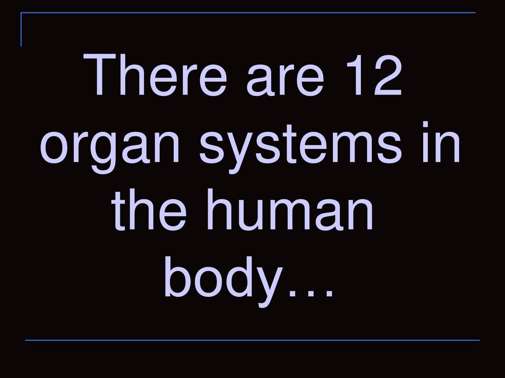There are 12 organ systems in the human body…