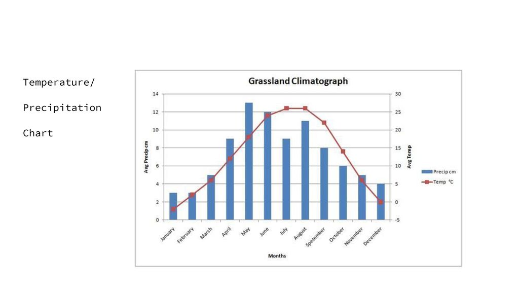 Grassland Rainfall Chart