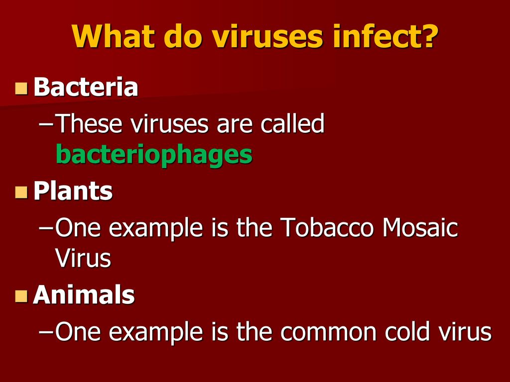 VIRUSES and THEIR RELATIVES - ppt download