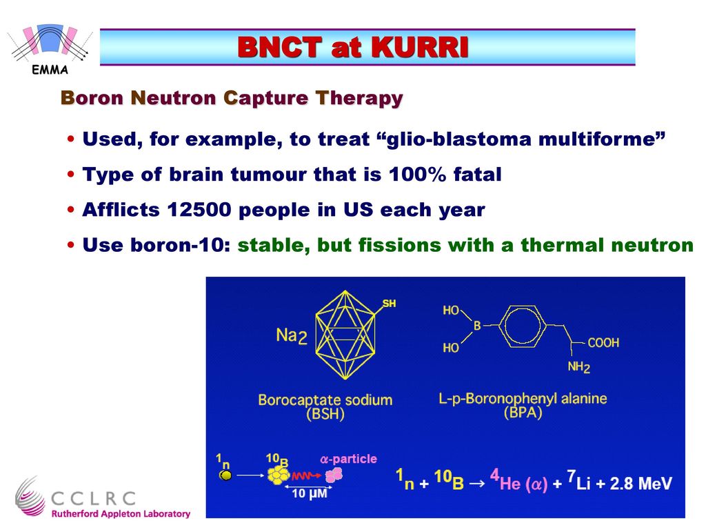 BNCT at KURRI Boron Neutron Capture Therapy