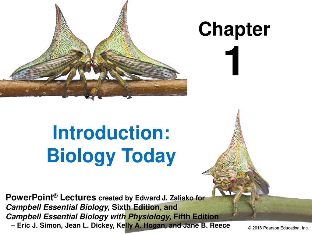 Introduction: Biology Today - ppt download