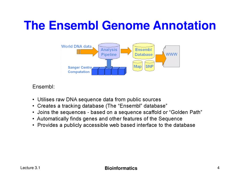 The Ensembl Database Steven Jones August 18, Ppt Download