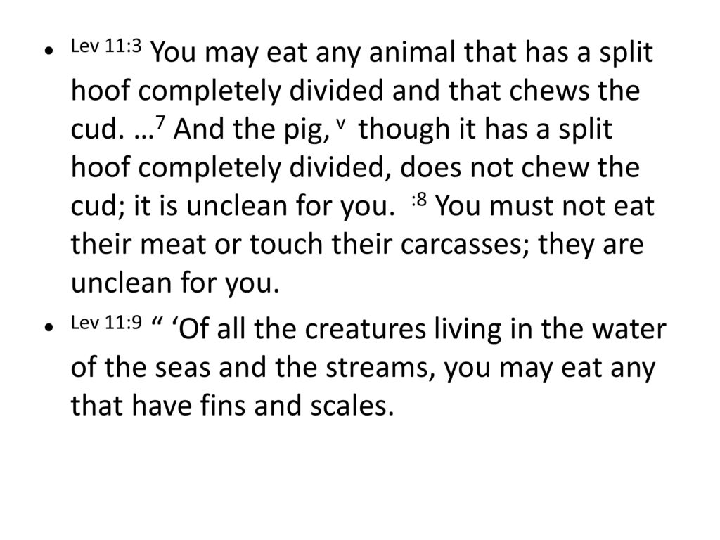 Why Can We Eat Pork And Prawns Ppt Download why-can-we-eat-pork-and-prawns-ppt-download