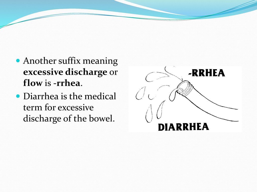 BASIC MEDICAL TERMINOLOGY 3 (Suffix) - ppt download