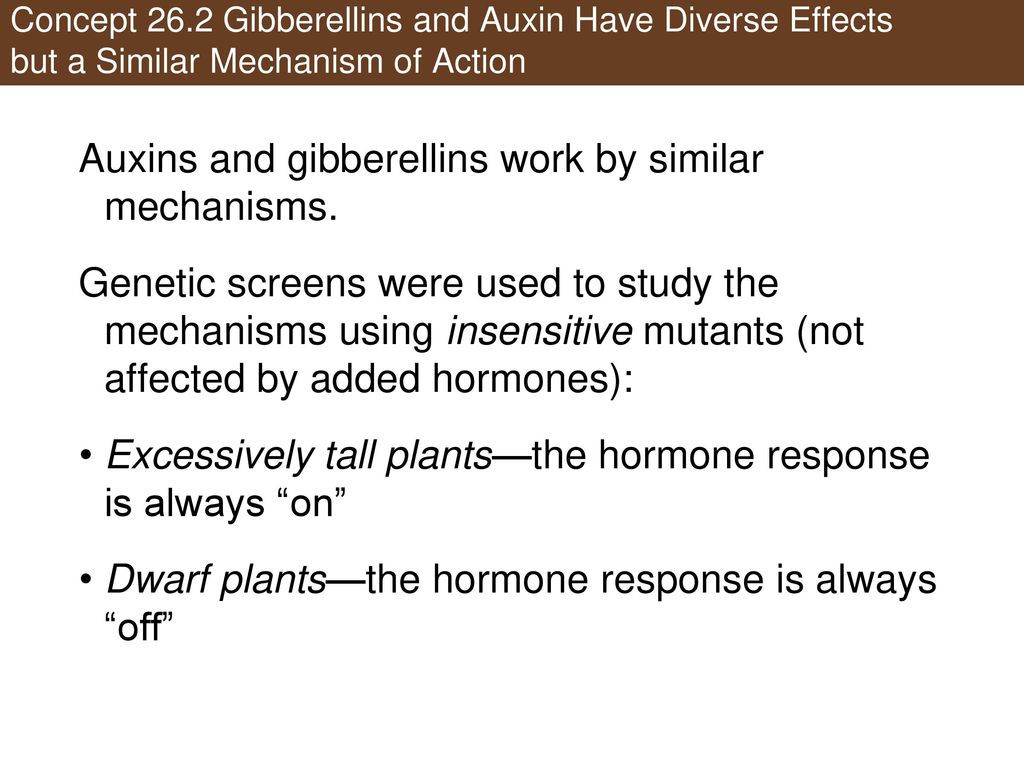 Auxins and gibberellins work by similar mechanisms.