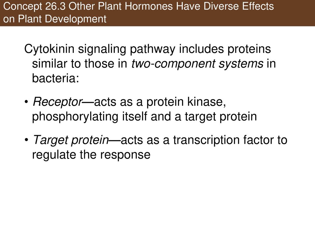 Target protein—acts as a transcription factor to regulate the response