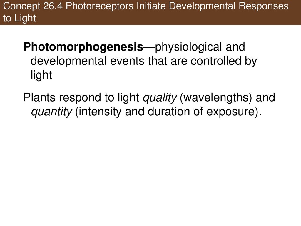 Concept 26.4 Photoreceptors Initiate Developmental Responses to Light