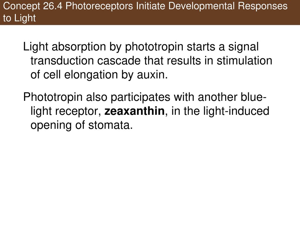 Concept 26.4 Photoreceptors Initiate Developmental Responses to Light