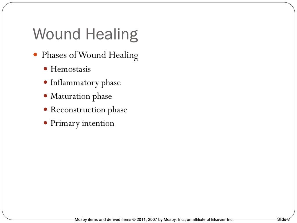 PPT – THE BURN WOUND AND BURN WOUND CARE PowerPoint presentation | free to  view - id: 5da73-MTMyN