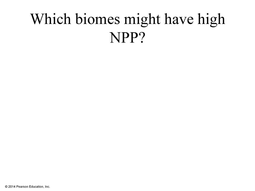 Which biomes might have high NPP