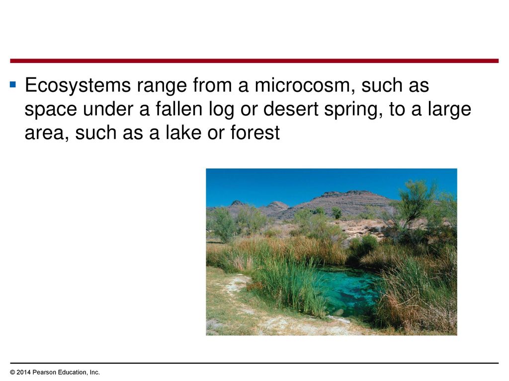 Ecosystems range from a microcosm, such as space under a fallen log or desert spring, to a large area, such as a lake or forest