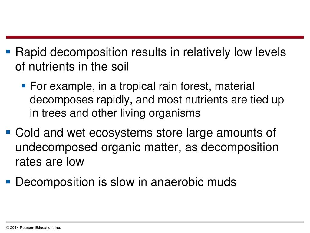 Decomposition is slow in anaerobic muds