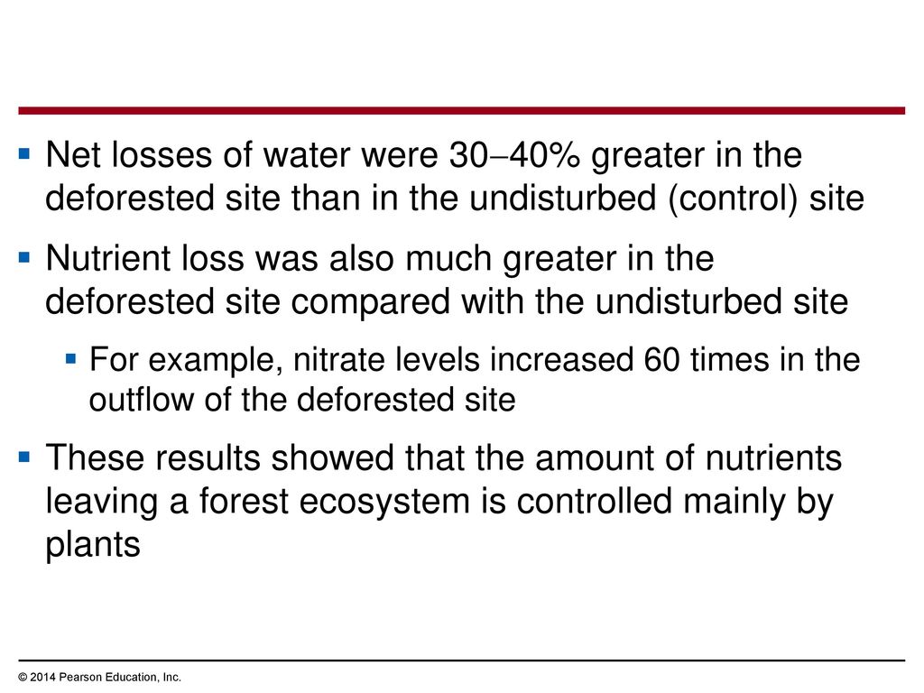 Net losses of water were 3040% greater in the deforested site than in the undisturbed (control) site