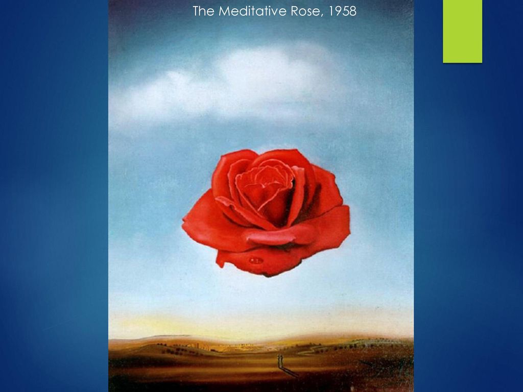 The Meditative Rose, 1958