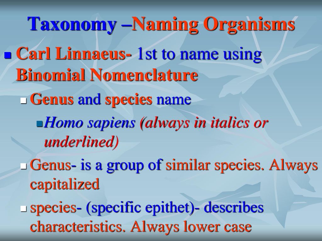 Taxonomy Naming Organisms D-k-p-c-o-f-g-s - Ppt Download