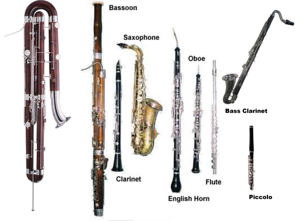 Гобой труба кларнет. Флейта гобой кларнет Фагот саксофон. Деревянные духовые инструменты гобой кларнет флейта Фагот и саксофон. Музыкальные инструменты флейта гобой кларнет Фагот. Труба флейта саксофон кларнет тромбон.