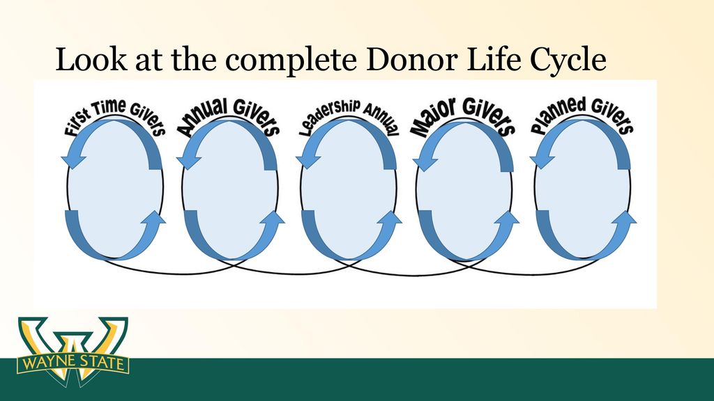 Look at the complete Donor Life Cycle