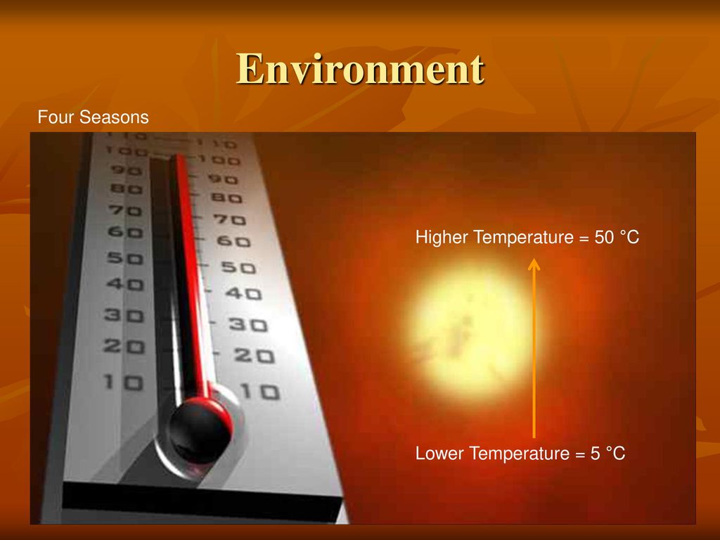 Environment Four Seasons Higher Temperature = 50 °C