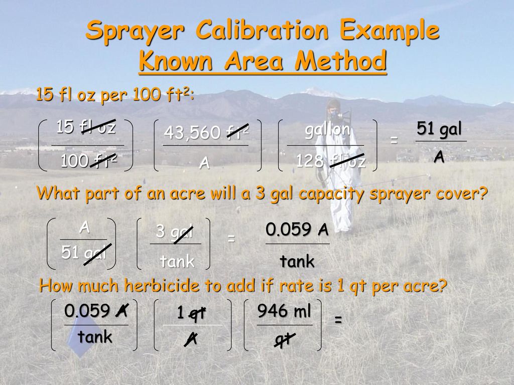 Unraveling The Mysteries Ppt Download unraveling-the-mysteries-ppt-download