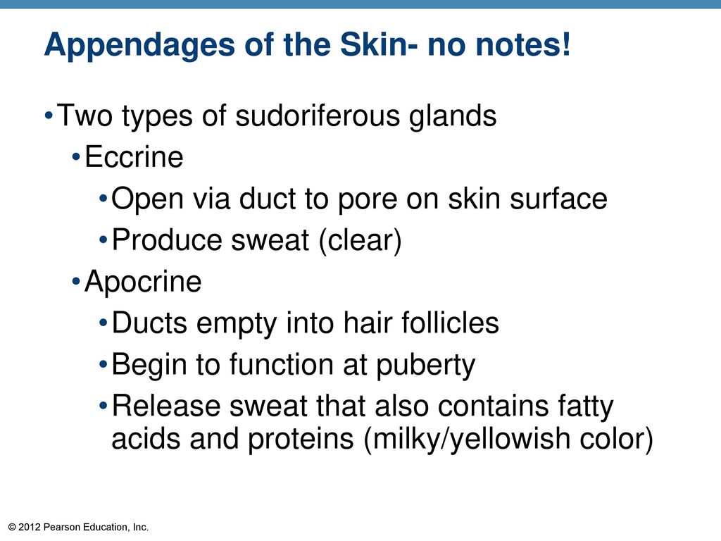 Skin and Body Membranes Biology Diagrams