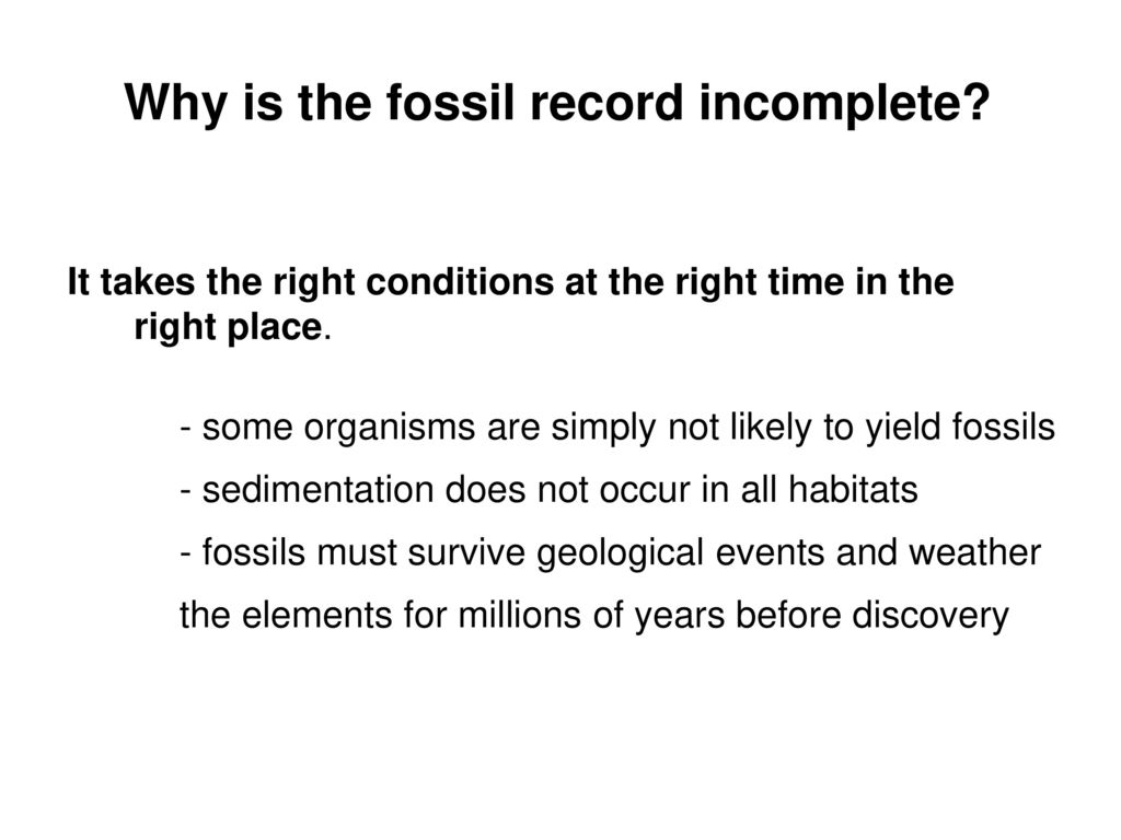 Arriba 33+ imagen why fossil record is incomplete
