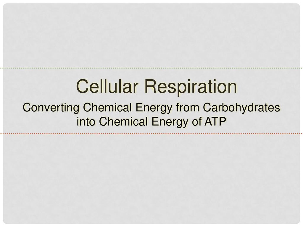Cellular Respiration Converting Chemical Energy from Carbohydrates into Chemical Energy of ATP