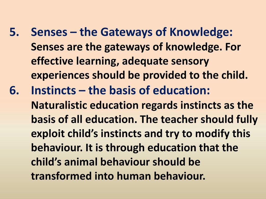 Senses – the Gateways of Knowledge: Senses are the gateways of knowledge. For effective learning, adequate sensory experiences should be provided to the child.