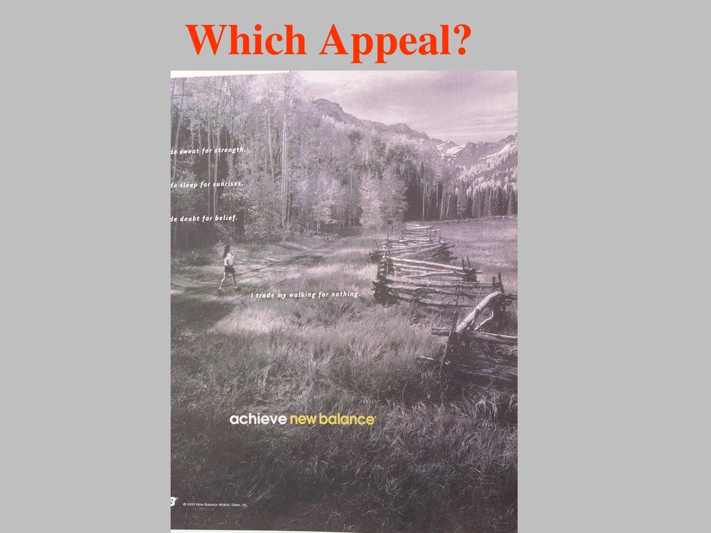Which Appeal
