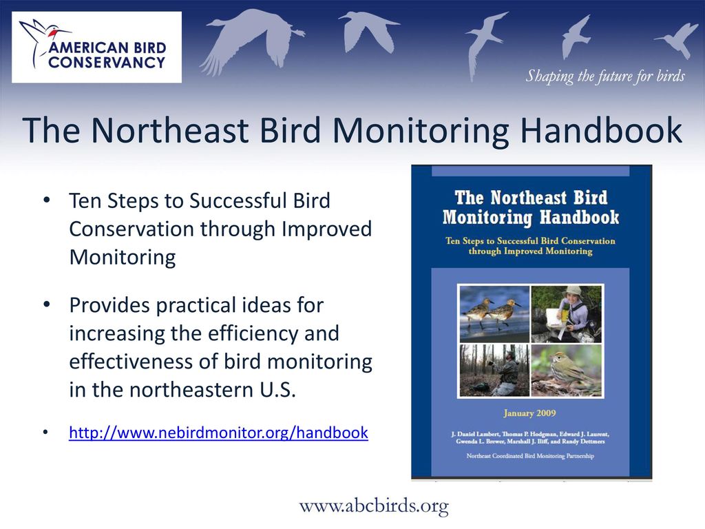 Northeast Coordinated Bird Monitoring - Ppt Download