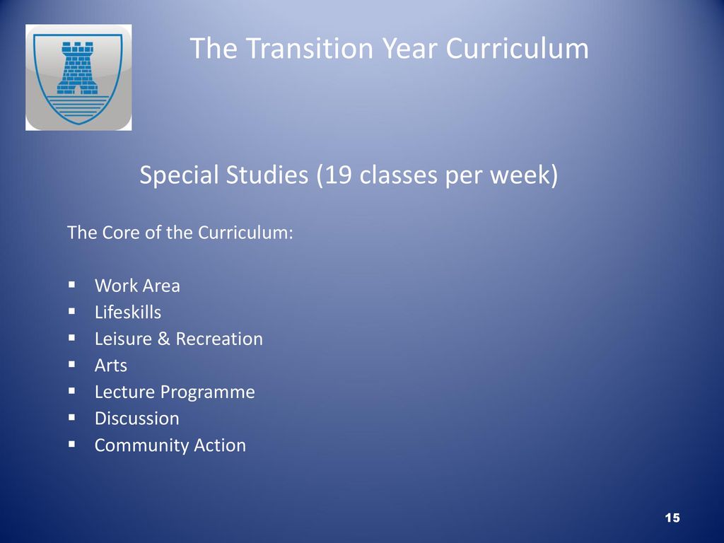 The Transition Year Curriculum