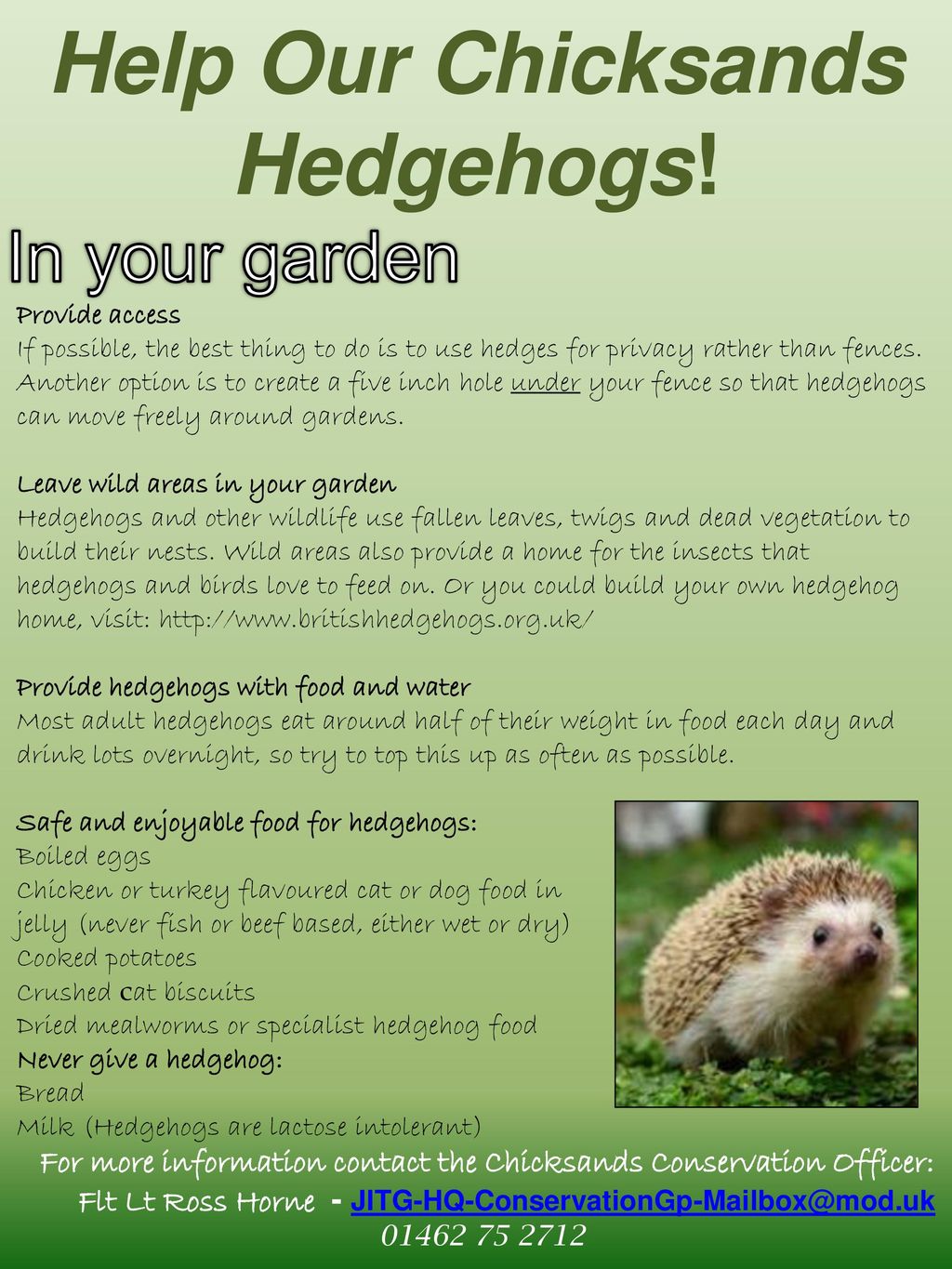 Help Our Chicksands Hedgehogs! - ppt download