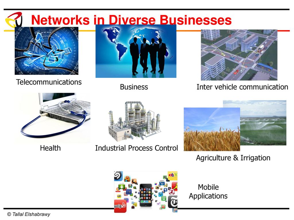 Networks in Diverse Businesses