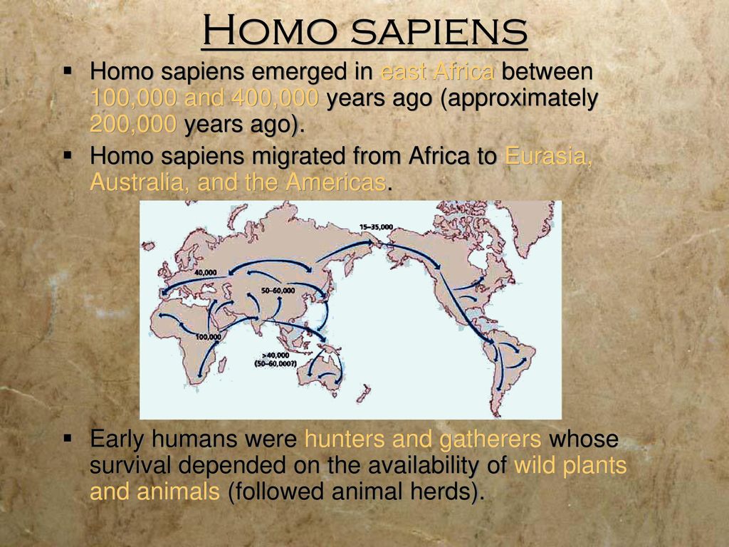 Whi 2 Early Humans Ppt Download