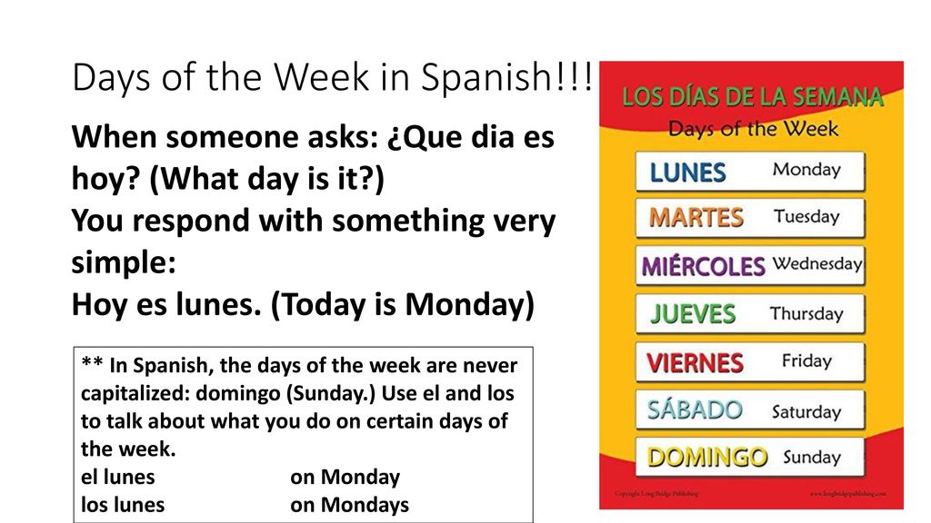 As Well As Days Of The Week In Spanish Ppt Download