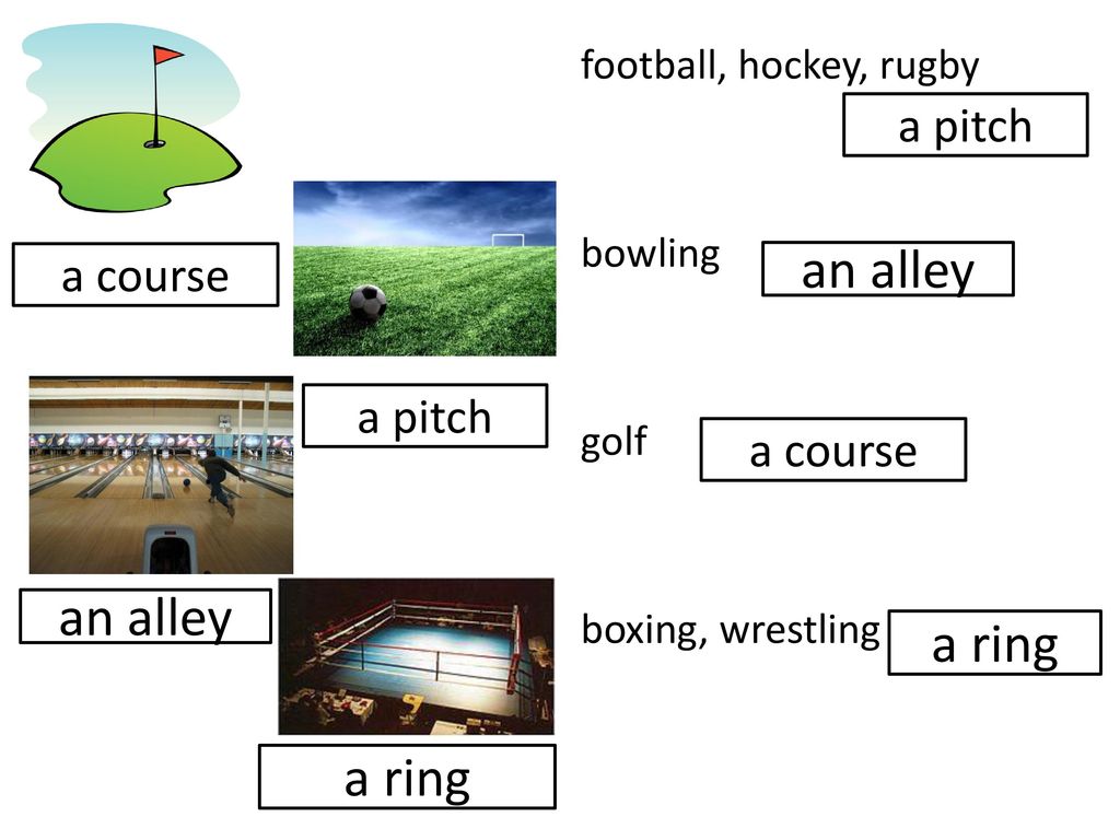Sport places and equipment - ppt download