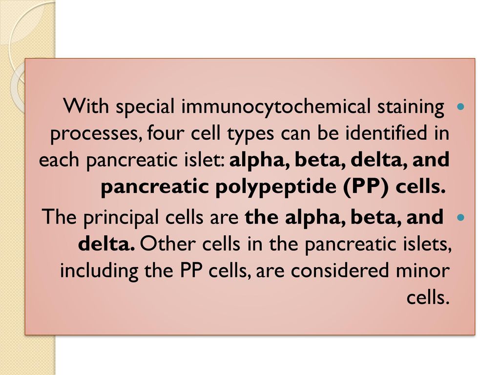 With special immunocytochemical staining processes, four cell types can be identified in each pancreatic islet: alpha, beta, delta, and pancreatic polypeptide (PP) cells.