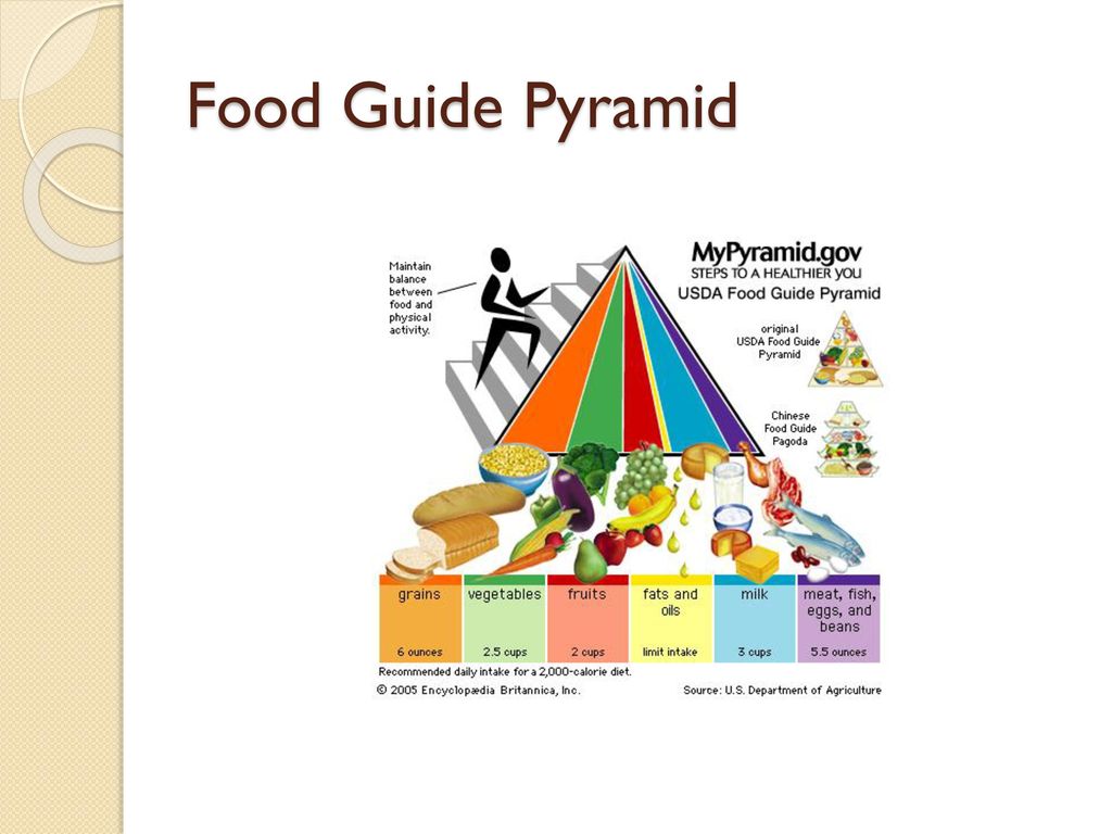 Food Guide Pyramid Ka Chart Banaaiye Food Guide Pyramid Ka Chart Banaaiye
