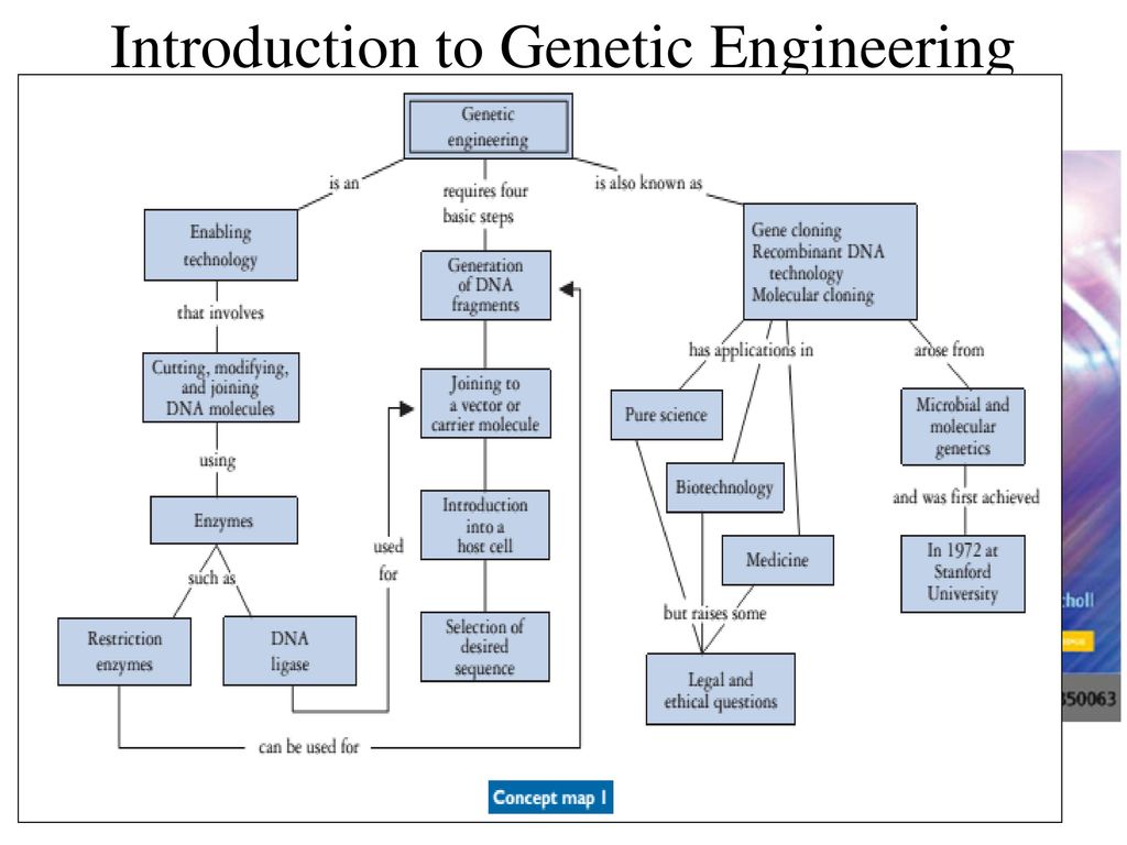 Concept Maps of Genetic Engineering. 