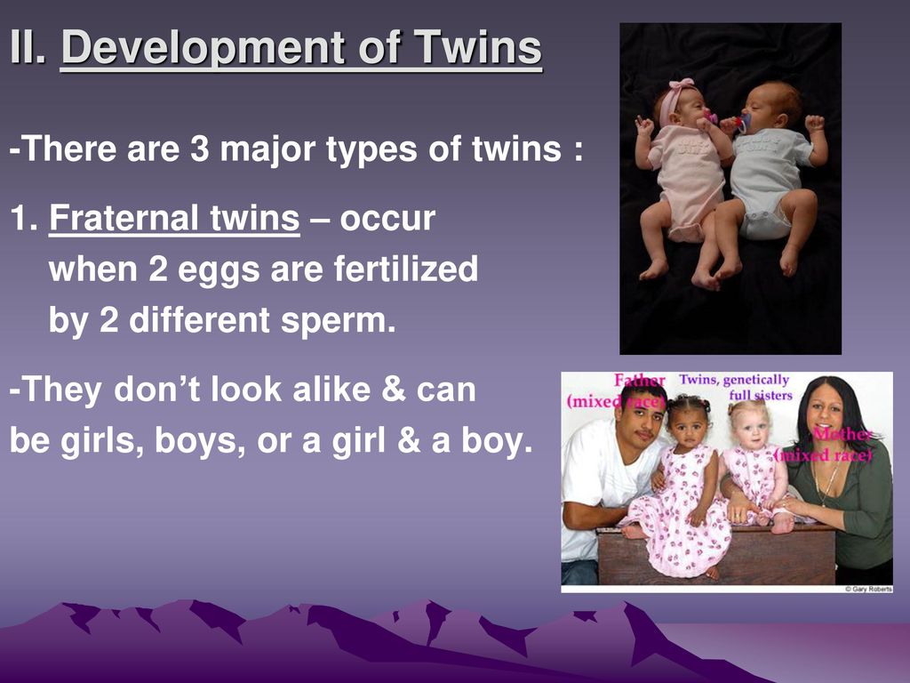 Mutations & Development of Twins - ppt download