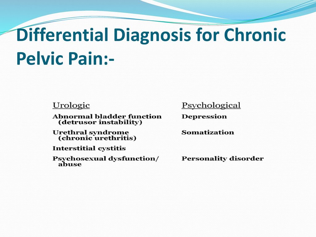 Chronic pelvic pain By Dr. Dalya Muthefer. - ppt download