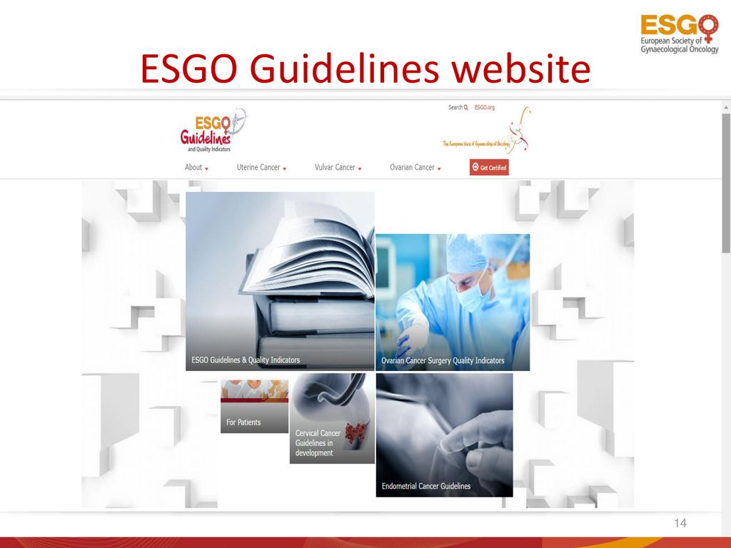 ESGO Guidelines website