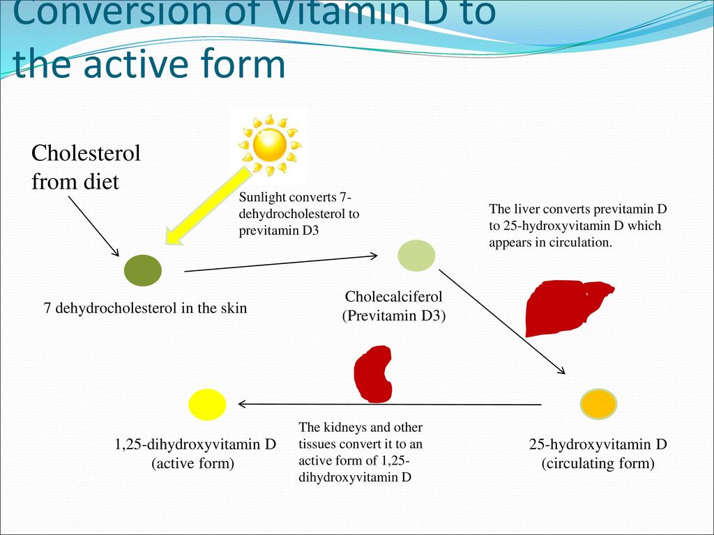 Role Of Vitamin D In Immunomodulation And Pulmonary