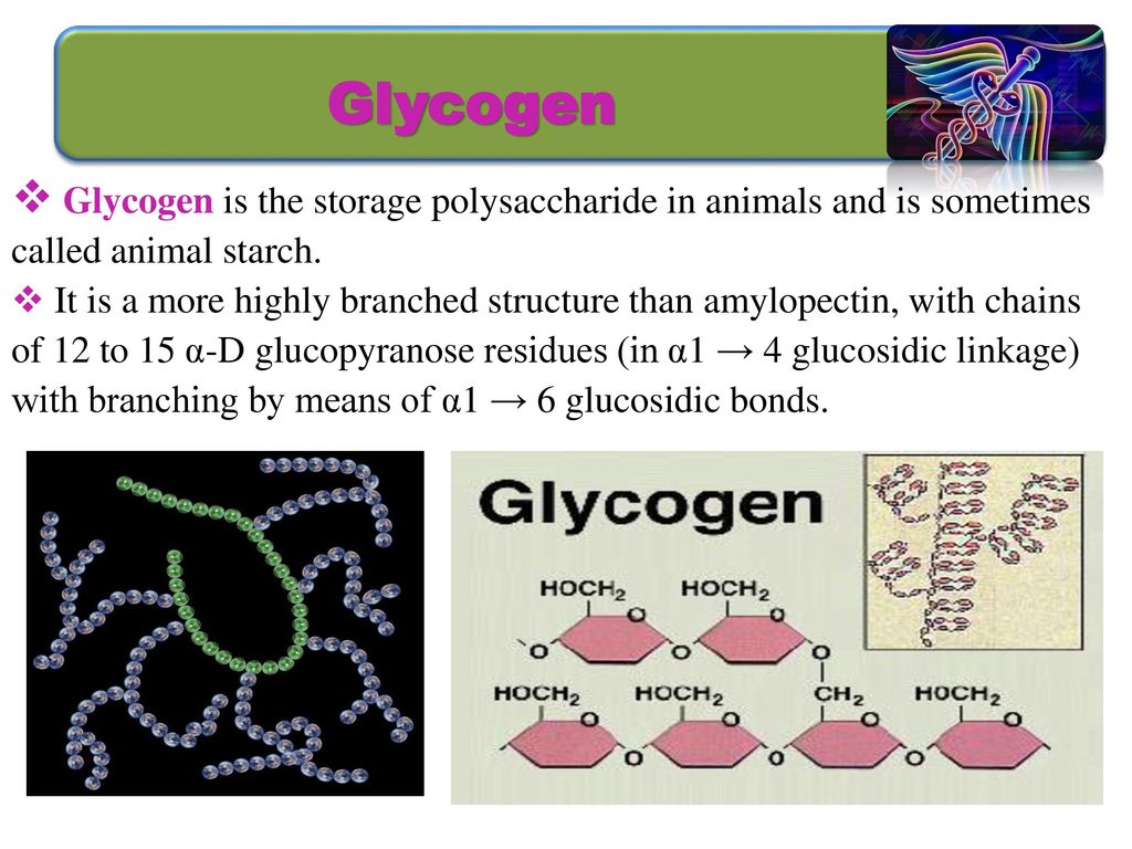 Carbohydrates Biochemistry (BMS 233)  Soliman. - ppt download