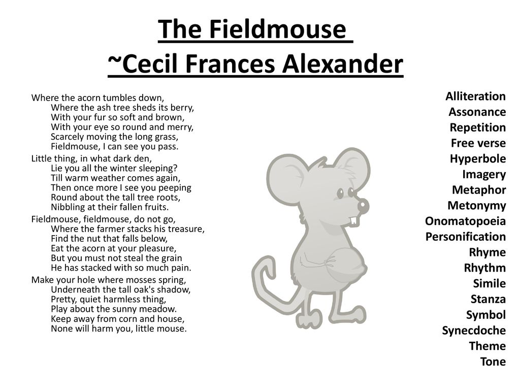 the field mouse poem