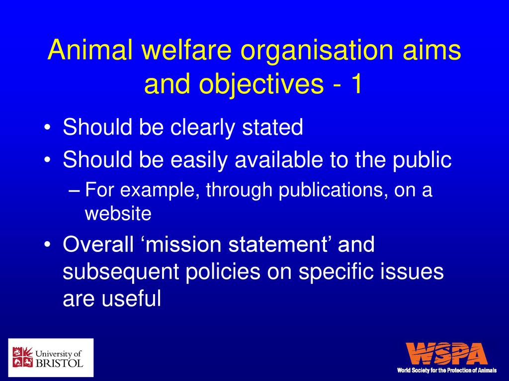 Animal welfare organisations - ppt download