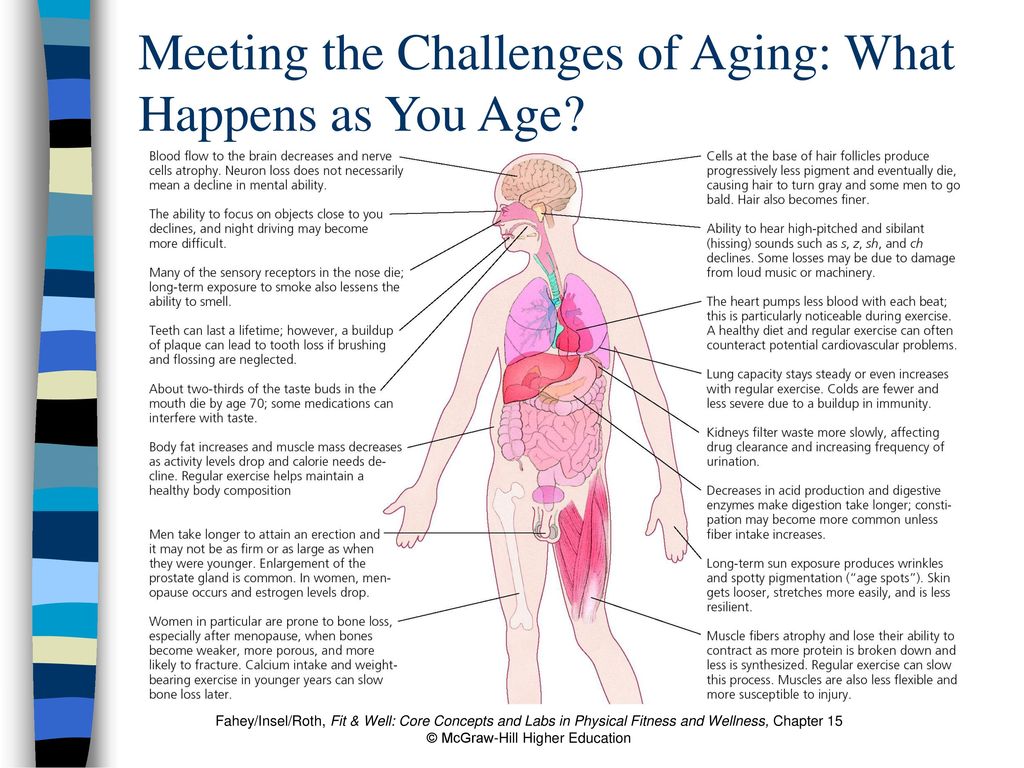 Meeting the Challenges of Aging: What Happens as You Age