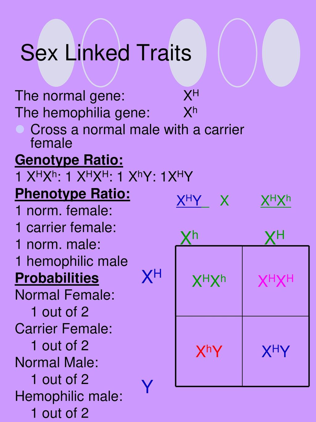 Sex Linked Traits Xh XH XH Y XHY XhY XHXH XHXh The normal gene: XH.