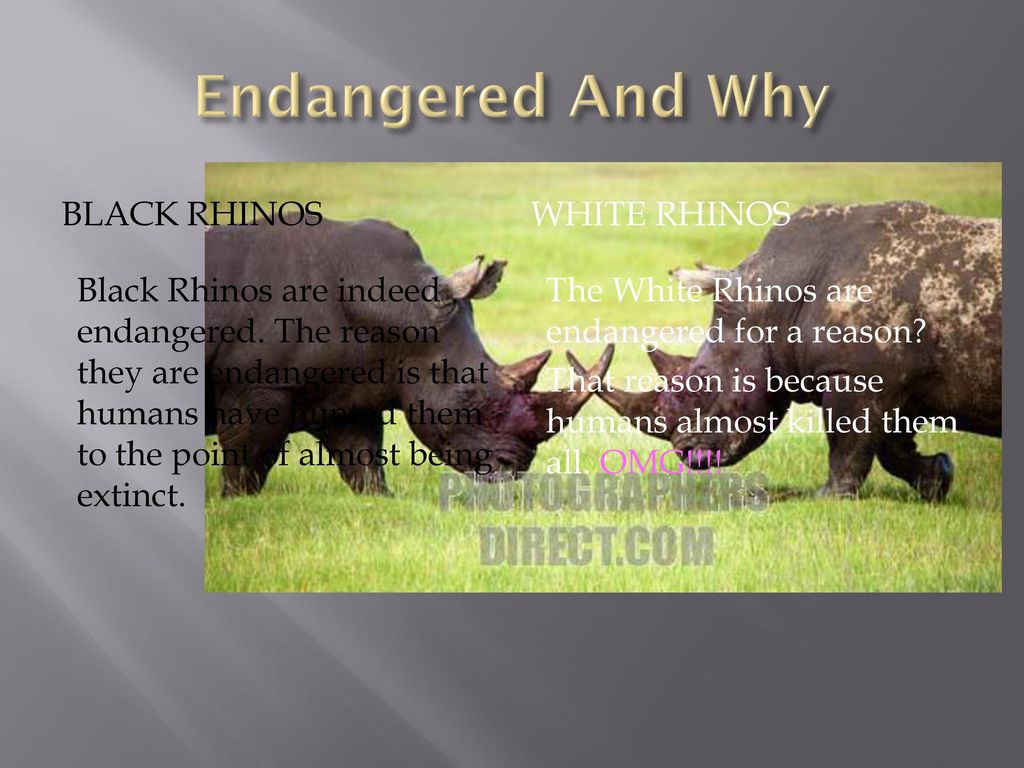 By: Landen, Jason, and Anakin - ppt download