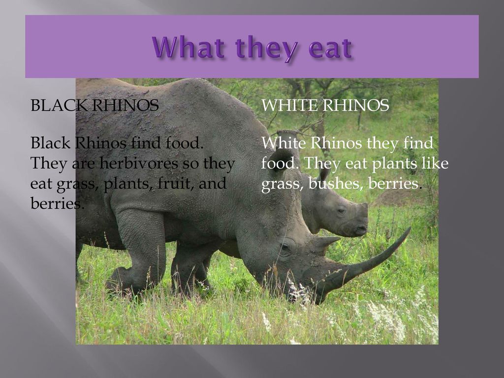 By: Landen, Jason, and Anakin - ppt download